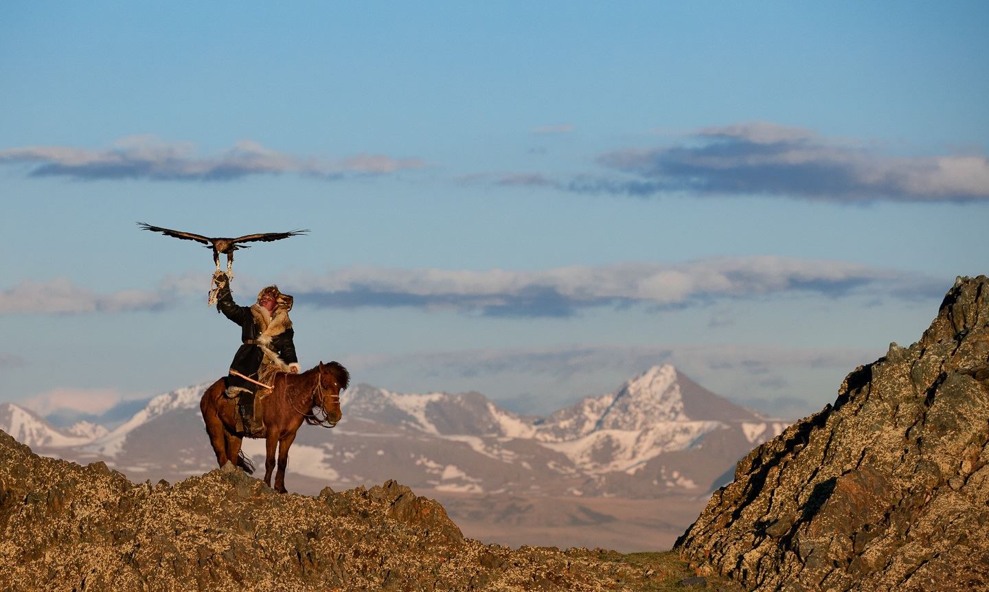 Mongolian Horse 